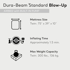 Intex Pillow Rest Classic Airbed With Fiber-Tech IP, Twin