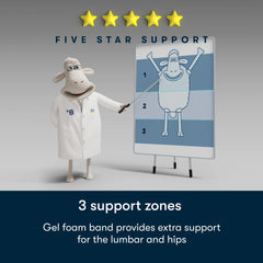 Serta Five Star Mattress Sleep to Go 14" Plush Mattress in a Box