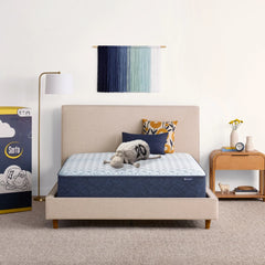 Serta Sleep to Go 11" Hybrid Firm Mattress in a Box