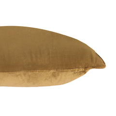 A1HC Pack of 2 Velvet Throw Pillow Insert, Hypoallergenic Down Alternative Fill