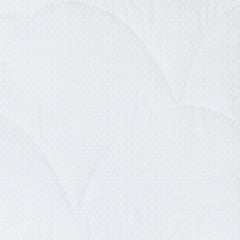PrimaLoft 400 Thread Count Extra Plush Hypoallergenic Mattress Pad - White