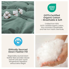 Medium Warmth 300TC Organic Cotton Down Comforter - 100% Natural, Chemical-Free, All Season Duvet Insert