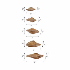 Resin Fungi Wall Decor Set of 5 - Natural, 5/6/7/8/9 in.