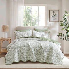 Madison Park Darcy 3 Piece Print Quilt Set