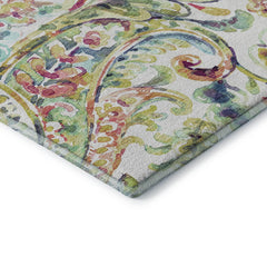 Premium Washable Super Soft Paisley Mayfield Rug