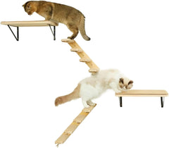 Two Aesthetically Pleasing Cat Wall Racks with Scratch Pads and Artificial Pet Scratch Posts, Suitable for Indoor Pets Suitable for Indoor Pets(2 Pack Shelves)