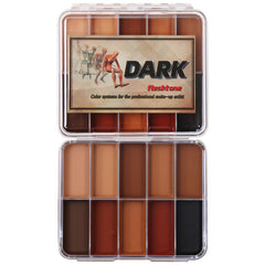 10-Color Alcohol Activated Professional Makeup Palette Kit, Waterproof SFX for Makeup Artists, Cosplay, Halloween (Large)