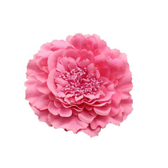 Women's Bohemia Peony Flowers Hairpin Hair Clip Flower Brooch for Travel Party Festivals PF-11 (White) (Pack of 1)