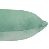A1HC Velvet Throw Pillow Insert, Hypoallergenic Down Alternative Fill, Pack of 1