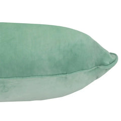 A1HC Velvet Throw Pillow Insert, Hypoallergenic Down Alternative Fill, Pack of 1