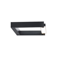Lune LED Adjustable Picture Light