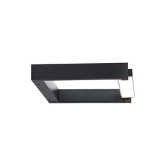 Lune LED Adjustable Picture Light