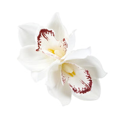 Vividsun Hawaiian Flower Hair Clips Artificial Orchid Flower Hair Clip For Vacation Beach Party Hawaiian Wedding Hair Piece (white)