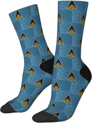 Flag Of Saint Lucia Socks For Men Women Gift Wicking Sport Casual Running Socks