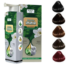Beirou Bubble Plant Hair Dye, Pure Plant Extract for Grey Hair Color Bubble Dye Shampoo.(BLACK)