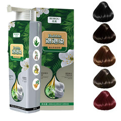 Beirou Bubble Plant Hair Dye, Pure Plant Extract for Grey Hair Color Bubble Dye Shampoo.(BLACK)
