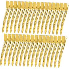 YGDZ Duck Billed Clips, 30pcs 3.5 Inch Metal Alligator Curl Hair Clips with Holes for Styling, Coloring, Thick Hair Rollers, Salon Use, Silver