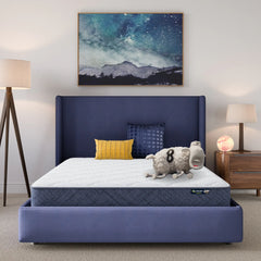 Serta Five Star Mattress Sleep to Go 8" Medium Mattress in a Box - Off-White