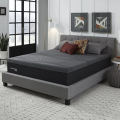 ComforPedic from BeautyRest 14" NRO Memory Foam Mattress