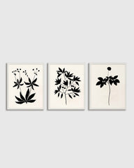 Botanical by Philippa Katz (Set of 3)