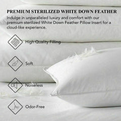 A1HC Pack of 2 Decorative Throw Pillow Insert, Down Feather Filled, White