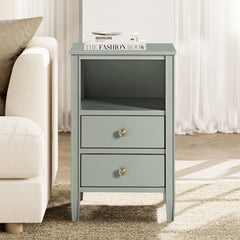 Wendel 2-drawer Storage Nightstand by Greyson Living