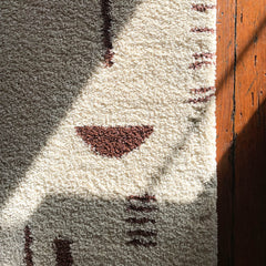 Carson Shag Area Rug
