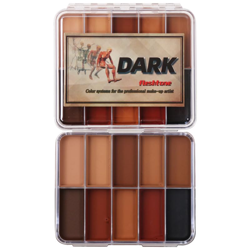 10-Color Alcohol Activated Professional Makeup Palette Kit, Waterproof SFX for Makeup Artists, Cosplay, Halloween (Large)