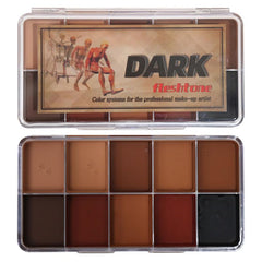 10-Color Alcohol Activated Professional Makeup Palette Kit, Waterproof SFX for Makeup Artists, Cosplay, Halloween (Large)