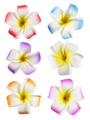 2.5" Hawaiian Hair Flower Clip Hair Barrettes for Women.Hair Buckle 4 Moana Luau Hawaiian Dresses for Women-6pc Hair Clips for Thin Hair,Hair Clips for Girls,Plumeria Hawaii Hair Accessories for Women