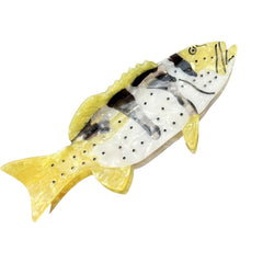 Novelty Salmon Fish Hair Clip, Acetate Hair Clips, Girl Women Small Claw Hairpin, Non Slip Unique Cute Barrettes for Thick and Thin Hair