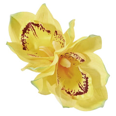 Vividsun Hawaiian Flower Hair Clips Artificial Orchid Flower Hair Clip For Vacation Beach Party Hawaiian Wedding Hair Piece (white)