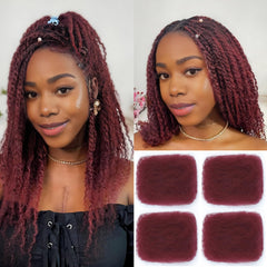 Afro Kinkys Bulk Human Hair 2 Bundles 20 Inch Afro Kinky-Curly Human Hair Bulk for Twist Dreadlock Extensions Locs Repair Soft 4C Curly for Braids Nature Black