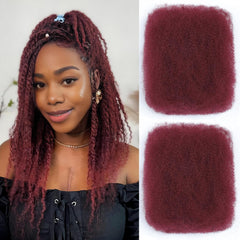 Afro Kinkys Bulk Human Hair 2 Bundles 20 Inch Afro Kinky-Curly Human Hair Bulk for Twist Dreadlock Extensions Locs Repair Soft 4C Curly for Braids Nature Black