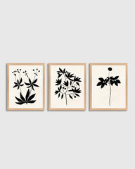 Botanical by Philippa Katz (Set of 3)