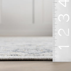 Nuloom Cady SpinClean Machine Washable Transitional Area Rug